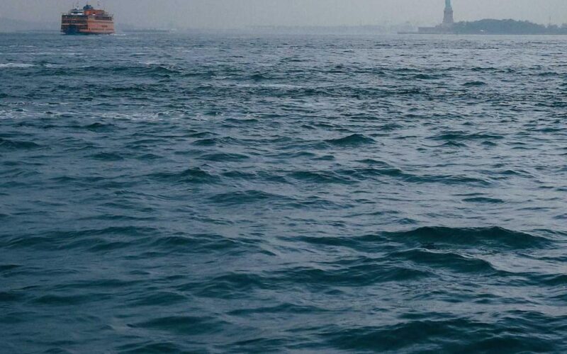 引越し前の不用品整理に出張買取が便利！捨てる前にまず査定を