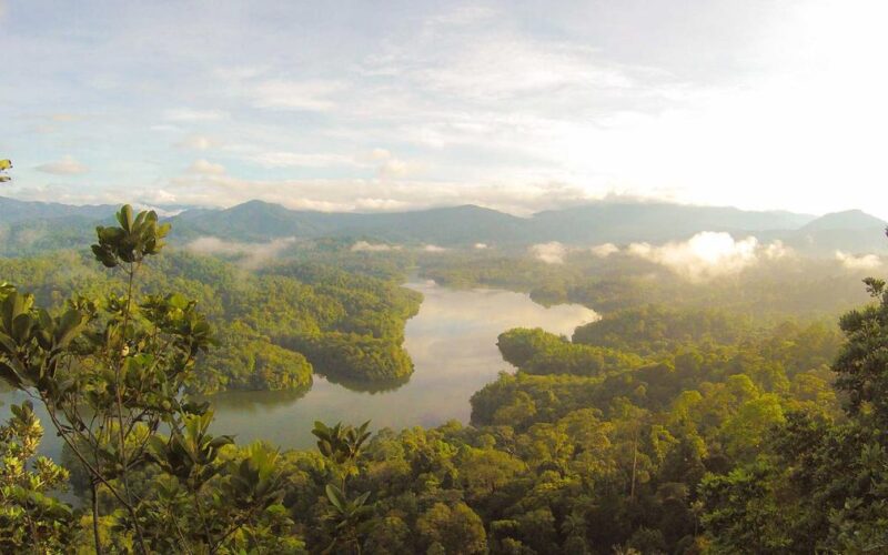 【3月の引越しシーズン】不用品はまとめて出張買取！捨てる前にご相談を